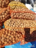 Sprzedam orzechy włoskie w skorupie. Możliwość zapakowania w worek bigbag ,30kg,10kg. Ilosci tirowe.