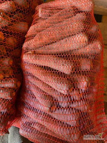 /images/posts/2024/06/1864847/ODoXyW2KUoozjhtbbL53w5v2VqI25gddekMoEkZj.jpeg