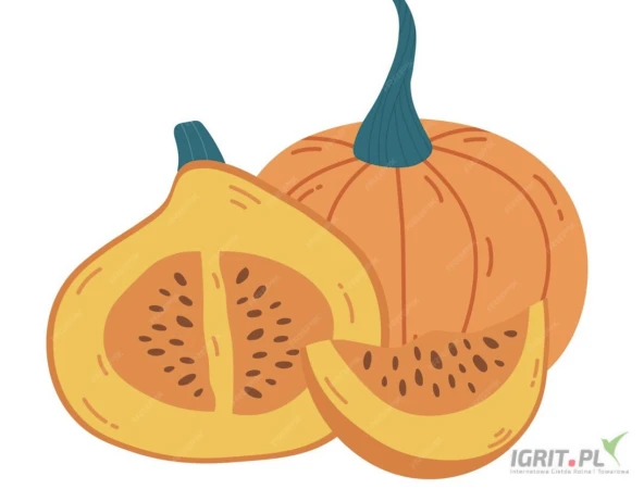 /images/posts/2025/06/2016852/1jmZsBObTEFMWILAkKMRYHdUMvNlBYBT6jqa6MKV.jpeg