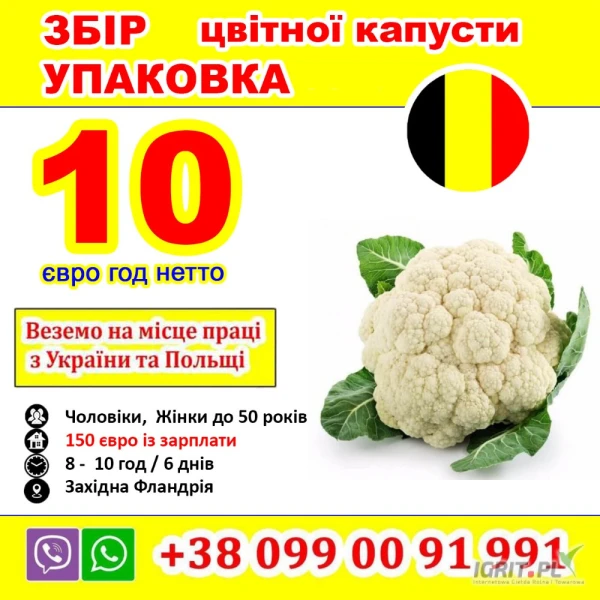 /images/posts/2025/04/2004437/awBzQJiSVMD06Nn4N0OWtFp1DtnvS0Ha4K2OewQx.jpeg