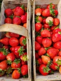 Sprzedam truskawke Azję 1000 koszyków 15 zł i rumbe 200 koszyków 12 zł. 