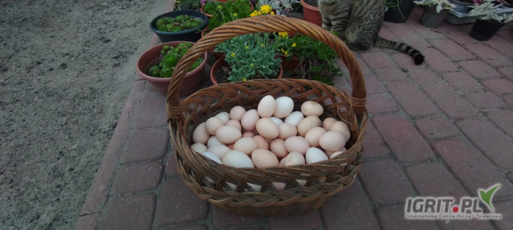 /images/posts/2025/05/2005972/GMwJbYpzyeKQaeTqIRT09WwuV02DDm7DPpeFG2bR.jpeg