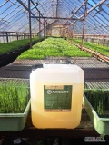 FUNGILITIC - kiła kapustnych, nicienie - wybielanie korzeni (seler, pietruszka), fusarium, biała zgnilizna cebuli, rizoktonioza,  szara...