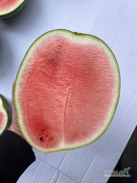 /images/posts/2025/04/1994770/TCvrmvcrhneT69aHDZgC2YE8HkDT7NlVccEnFNnU.jpeg