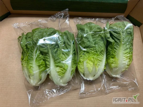 /images/posts/2025/06/2017241/rwQbymW8Gi0oX10iCDAvSIO8YmWvIPzXLVVxFzPM.jpeg