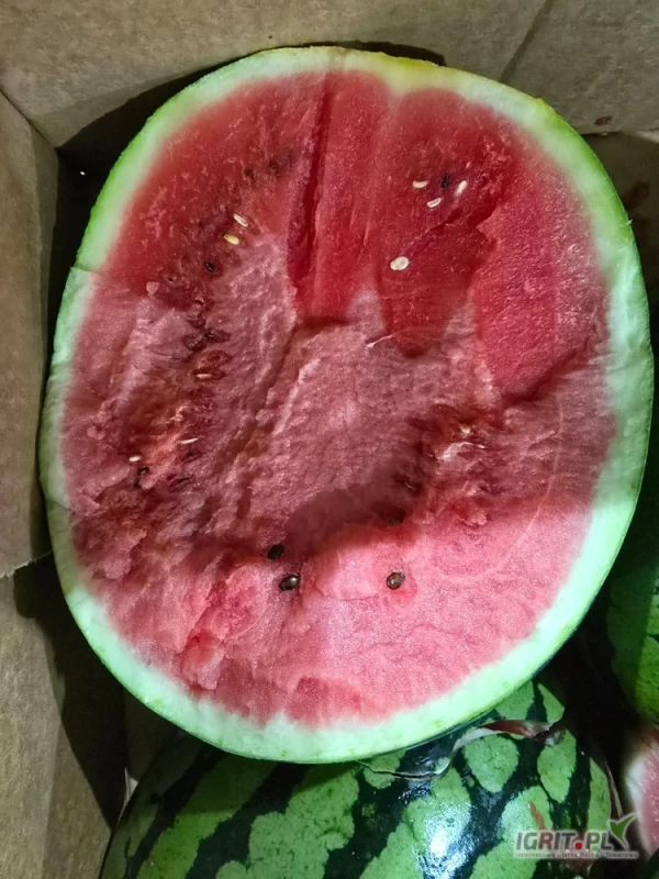 /images/posts/2025/06/2017411/nD35A342TC1WDLJY6mzK23VQxWbAkUNbX3Vnsxmm.jpeg