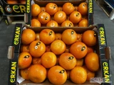Grapefruit 15,5 -16 kg rio red Turcja- świeża dostawa Warszawa