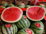 Arbuz 20 kg 4 szt. Sandia Blanca- świeża dostawa Katowice
