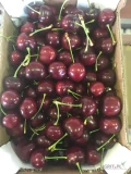 Oferuję ciemną czereśnie z importu. Ilości paletowe oraz hurtowe. Rozmiary 24/26, 26/28 oraz +28. Opakowania 2 oraz 4 kg. Zapraszam...