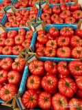 Na sprzedaż pomidor ogrodowy malinowy. ilości paletowe cena za kartonik  40zł 