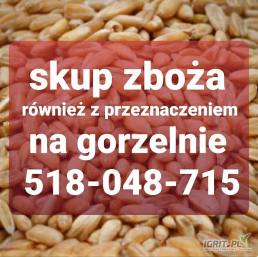 /images/posts/2025/01/1967897/4oD2IlTG4D5wR0Q9lCPisOPHDBYdSot8DFIXdFHq.jpeg