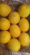 Sprzedam MELON.
