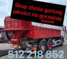 Kupię Zboże każdej jakości pszenica pszenżyto żyto jęczmień. Odbiór z gospodarstwa. Szybka płatność i odbiór zapraszamy...