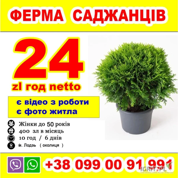 /images/posts/2025/04/1995266/1U1bpy1VJ1puEq7GsEhbJlSTkgi2Je6GiYCeyloC.jpeg