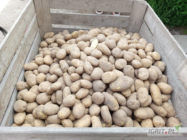 /images/posts/2024/08/1900076/fId0dZ7GKl7aBJGEy5ya24BvTDNocuK3LBPPMseP.jpeg