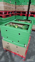Opakowania kartonowe box na 180kg arbuzy z nadrukiem lub bez o wym.800x600x800 wraz z rurami narożnymi. Producent-dystrybutor Otobox. 