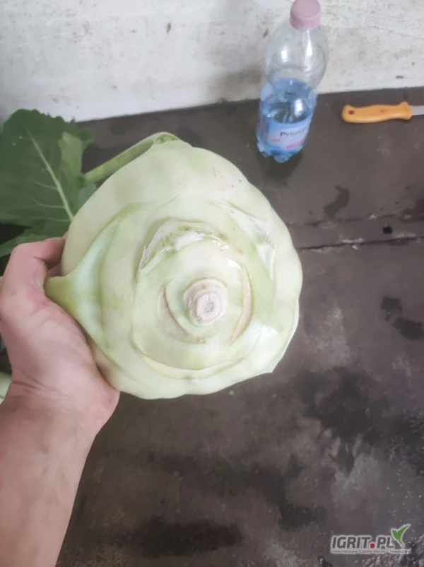 /images/posts/2025/06/2018300/zaQxsR6QwP8QRvWYJxguSPmXidGe1gqHhdSbswnr.jpeg