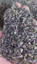 Bazylia suszony, klasa premium, Uzbekistan
