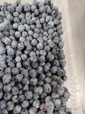 Sprzedam borówkę, Kraj pochodzenia Maroko, cena promocyjna, 12 zł/ kg