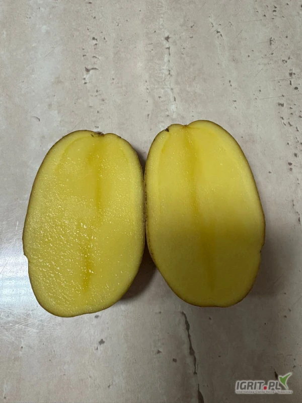 /images/posts/2025/06/2018606/RdflqZfsAnmb6fmjE4EvsGbkvK9zd2hC7bES8tXH.jpeg