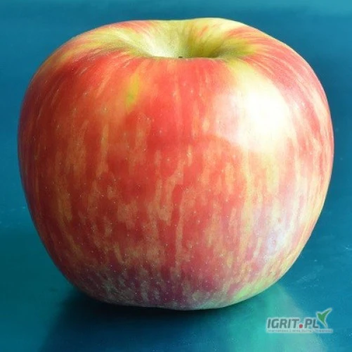 /images/posts/2023/10/1768969/Pi02EoZ5tJmJA3VAuV6YedD43TkwVCv4D7WbDSI8.jpeg