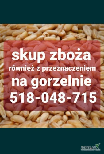 /images/posts/2024/06/1867103/nhIBjVUGGdEjgWCHTJ82WTuxqNOyTNe1naUbPGOf.jpeg