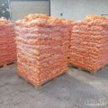 Sprzedam cebulę suchą łuske  zimowa . Worek szyty -5-10 kg.