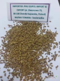 Sprzedam nasiona kozieradki z Egiptu, w bardzo dobrej jakości, świeżo importowana - w cenie noworocznej - promocyjnej 5,00 zł/kg.