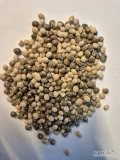 Sprzedam łubin mix - dostępne 150 ton
