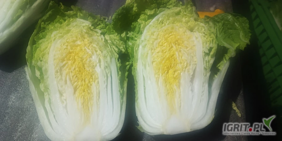 /images/posts/2025/06/2018934/nLFkhtsreus2NGmVhWUH9QFC07dphcDRGpjGPXPM.jpeg