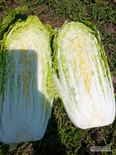 /images/posts/2024/06/1874930/H4e0MnRXoyoOsyCzrtmMEkW3pfepYWFTdQXozMj6.jpeg