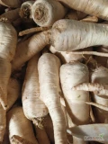 Witam sprzedam pietruszkę myta grubą cena 1.30 dostępne około 3 ton