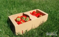 Łubianka, Kobiałka, łubianki, kobiałki - szare, białe na 1KG owoców - idealne do truskawki, borówki...         Pakowane po 6000 tyś na palecie - cena 2700zł netto   45gr. sztuka         Przy zamówieniu powyżej 5 palet - cena 40 groszy netto...