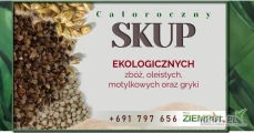 Kupimy ekologiczny owies konsumpcyjny z nowych zbiorów. Jesteśmy firmą z długoletnim doświadzcenie m w handlu ekologicznymi towarami....