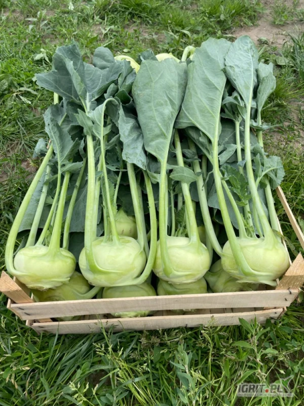 /images/posts/2025/06/2019148/z4jzSW9K8WF2m9jNgToKiHqalc8yLzC8LWIFLgBb.jpeg