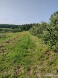 Witamy serdecznie, mamy na sprzedaż działkę rolną o powierzchni 9000 m2.
