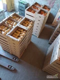 Witam, nawiążę współpracę z odbiorcami dyni w sezonie 2025. Dynie jakie produkuje to hokkaido,
