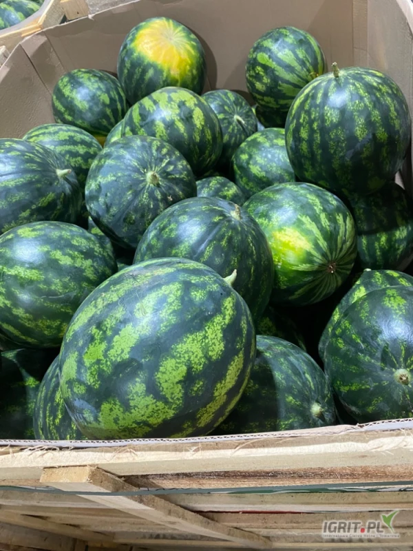 /images/posts/2025/06/2019426/awptBHZ1tttGfHP8e10rt6rlngYdhv37rkfPy0sK.jpeg