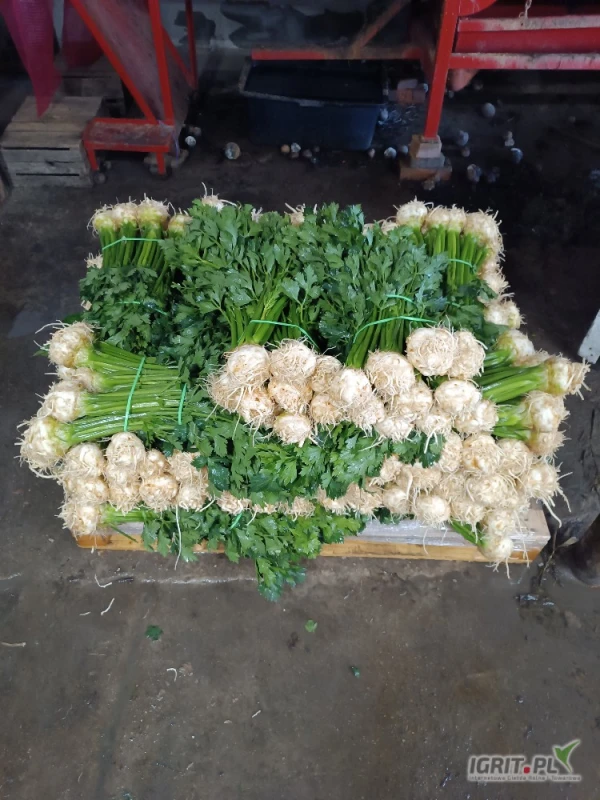 /images/posts/2025/06/2019446/SaqNj5X6YU5gnzSoj1kuAYlRxbn4Q5555BqRnQDD.jpeg