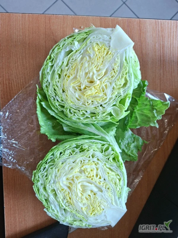 /images/posts/2025/06/2019449/rQkkSUJJpG2OVpBP6OyfOHDp9tIj9sqKeiHQJ7Eg.jpeg