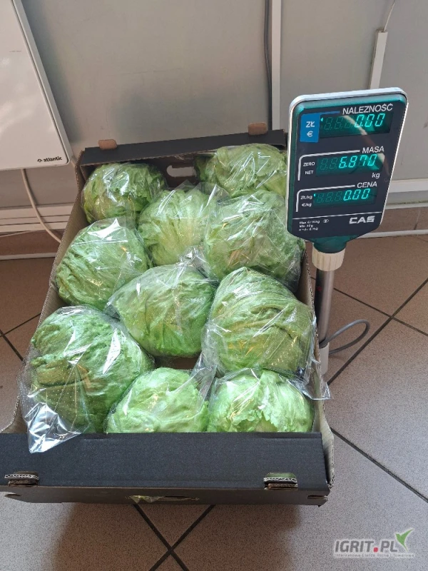 /images/posts/2025/06/2019449/pL5IjC4IT3N0bdVrI1KIjUWhKM9bN0Wp6EPVI5PD.jpeg