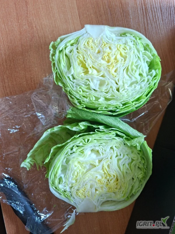/images/posts/2025/06/2019449/HZ1IZFck6LNkY0NVqk7nMIsiPlQqXBwyYjby7kE0.jpeg