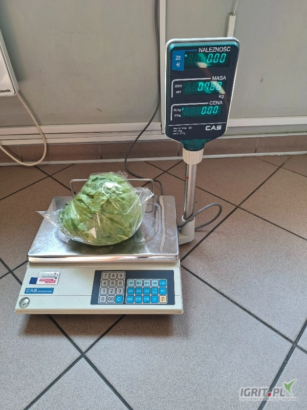 /images/posts/2025/06/2019449/UHzsxaG0jPuaO5fW2SKcPGMjNy1FKKoaabxRQ8L3.jpeg
