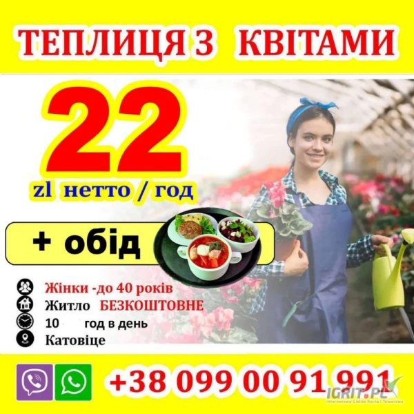 /images/posts/2025/05/2008167/OCVt7LDR3mMLOXoHL17IssYl6APs4ktsVXdXx79U.jpeg