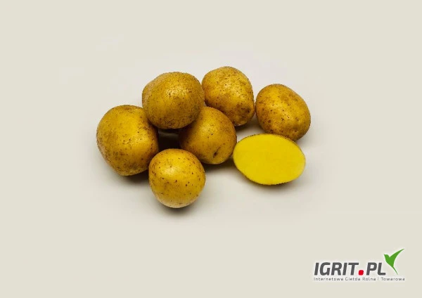 /images/posts/2021/12/1463420/tszXPS5Nl0AoFAW9QzUzeNlBXelGzP0bbHYLvNxZ.jpeg