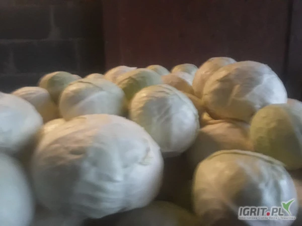 /images/posts/2025/02/1968450/8YfZizWgXRFyn7hyYNTuayRWMG95VopryIIK0p4z.jpeg