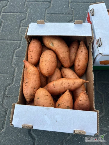 /images/posts/2024/08/1902914/GtCpjLGiZV7k9qPScHaROmCoOMKsVU556Iy7ZK3A.jpeg
