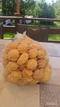 Witam zapraszam wszystkich na młode ziemniaczki od przyszłego tygodnia zainteresowanych zapraszam .