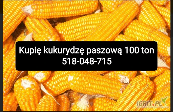 /images/posts/2025/04/1998232/zvxMYqpbfJLITX0sZ9joOv8KxJaUE2XinwP4un4V.jpeg