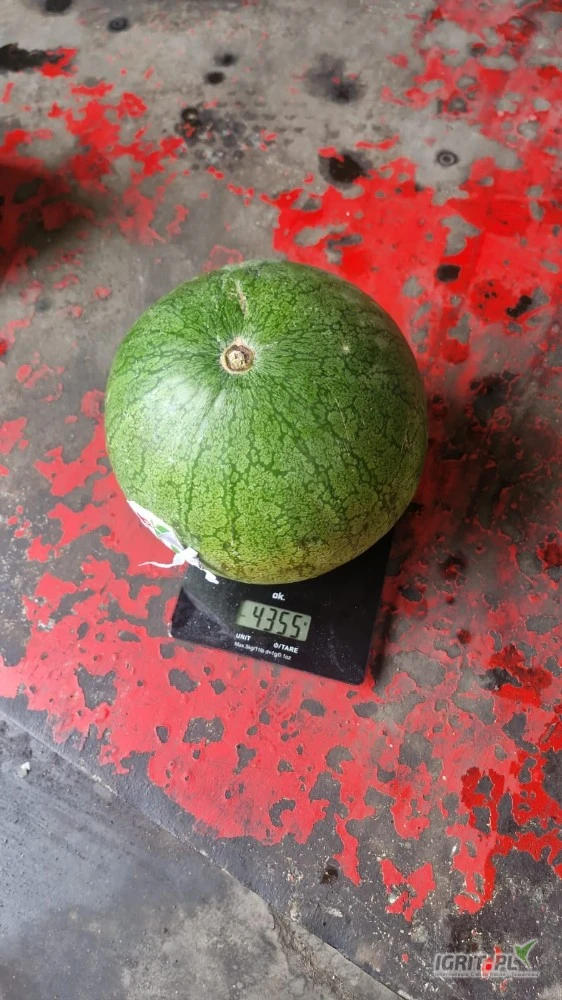 /images/posts/2025/06/2019606/UgAv8dRjMaSGclgC5kQNDuVLynQPdgnr5hruzm0N.jpeg